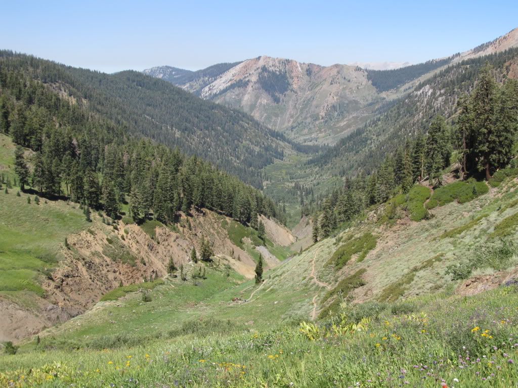 IMG_0522.jpg