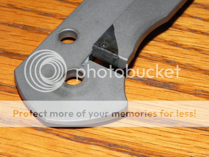 DSCN1433.jpg