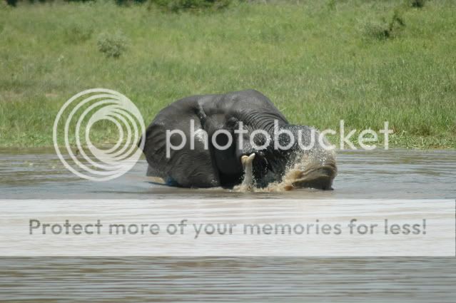 DSC_4601.jpg