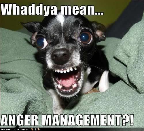 angermanagement.jpg