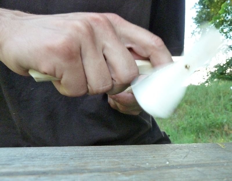 P1090749_zpsee9e3eee.jpg
