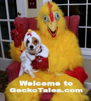 geckotales-dog-picture.jpg