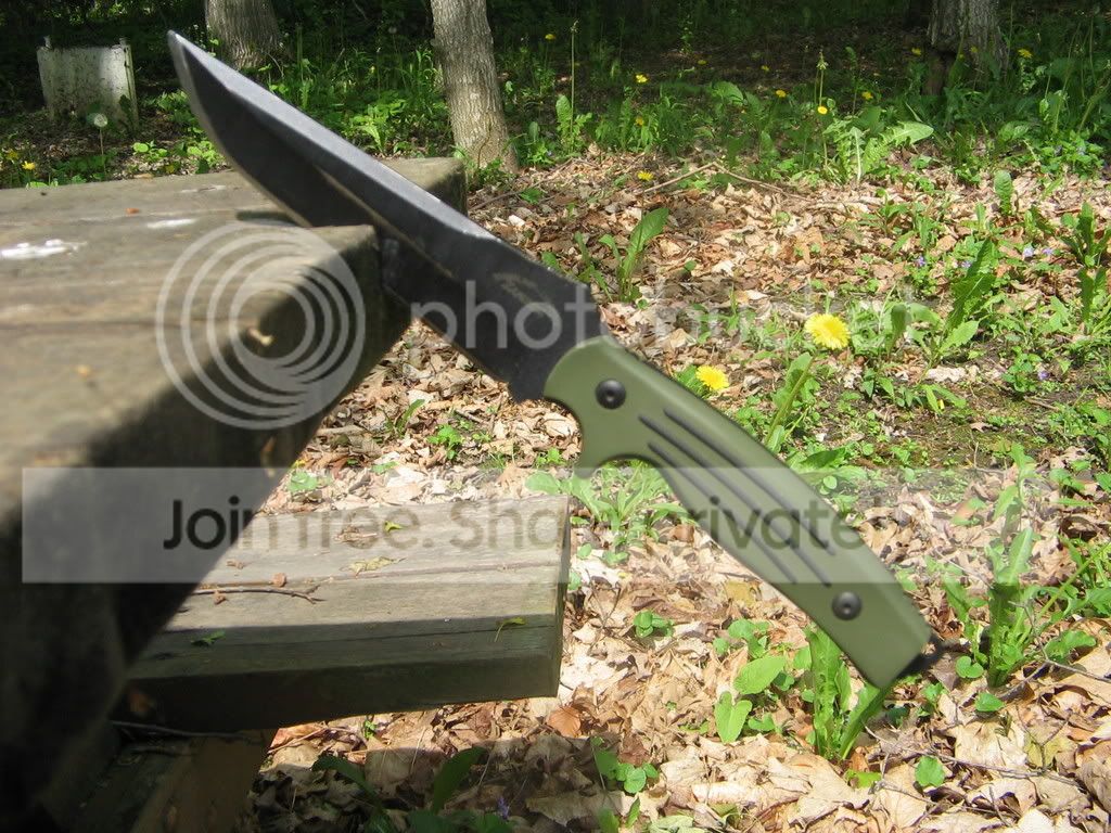 IMG_1126.jpg