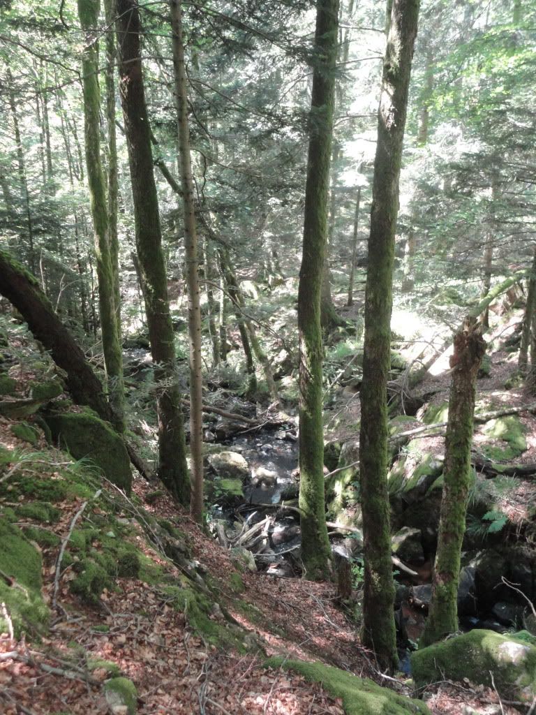 DSC01870.jpg