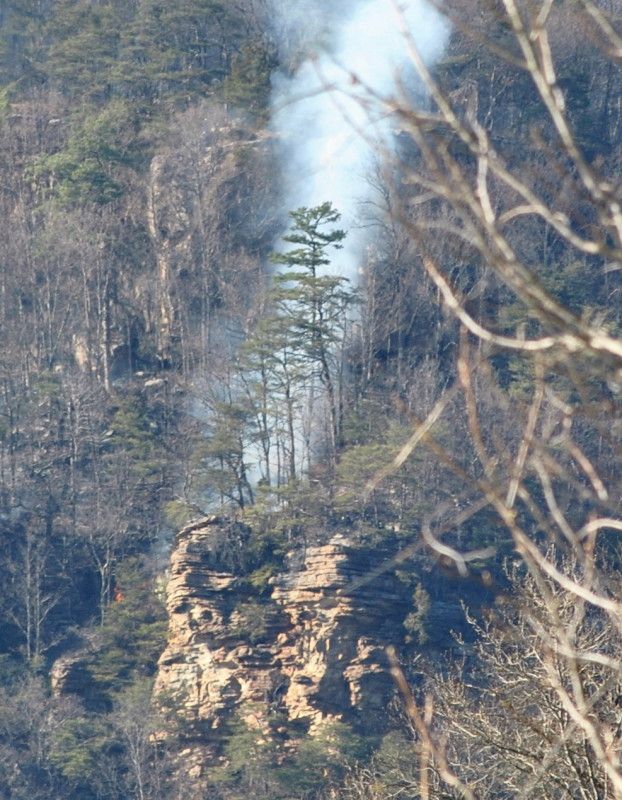 DSC_9447.jpg