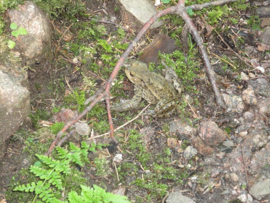 DSC01864.jpg