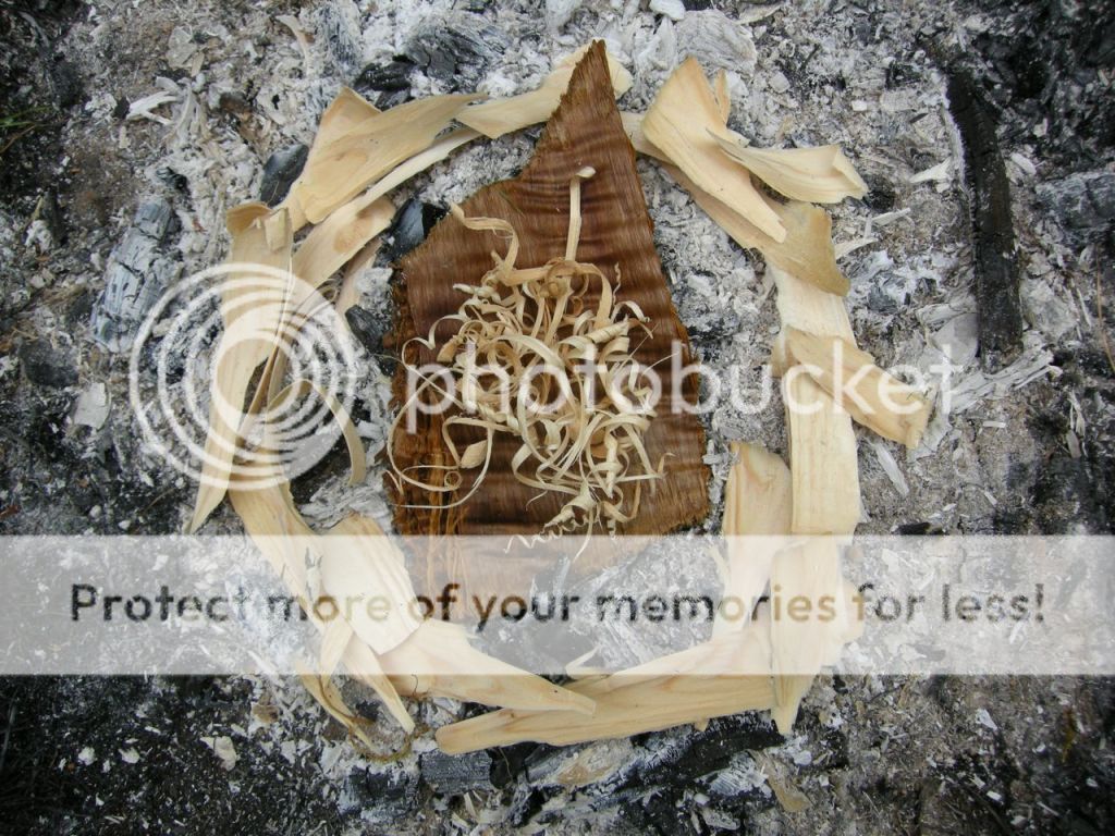 FireContest047.jpg