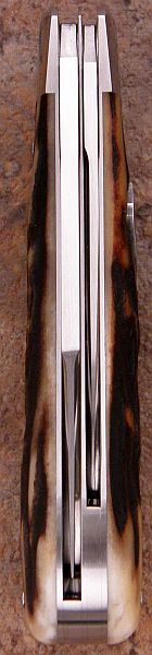 tbose-334stagDDJack1-5.jpg
