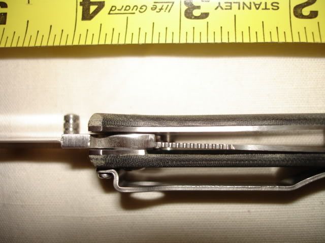 DSC01383.jpg