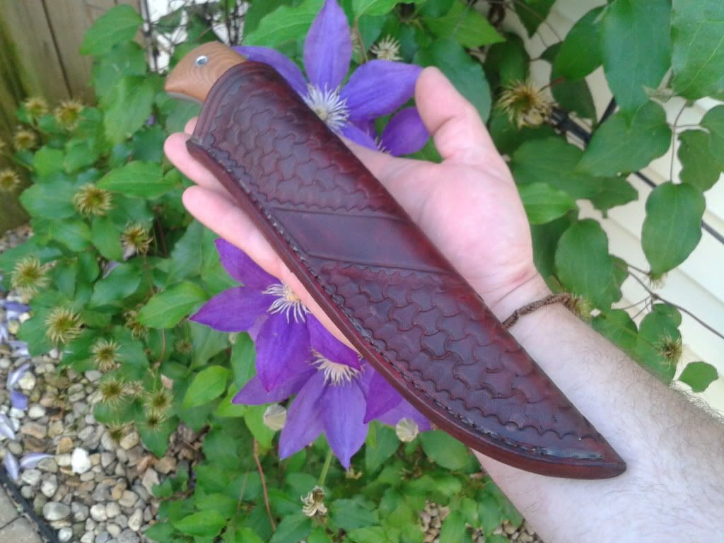 2013-06-24193142_zpse51689e7.jpg