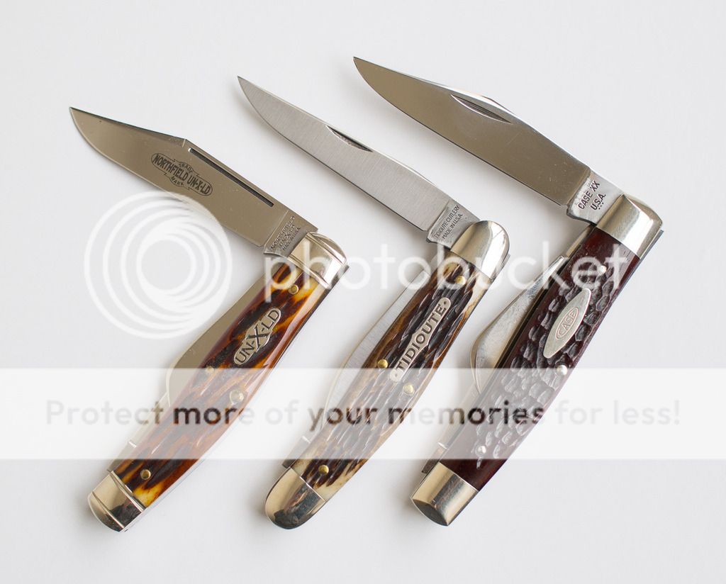 _3270011.jpg~original