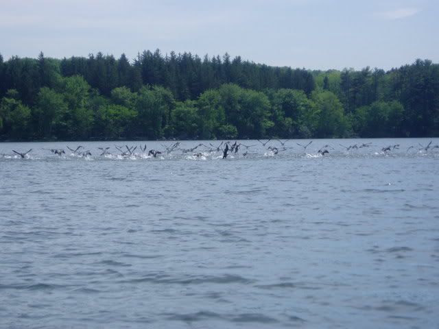 laketrip062.jpg