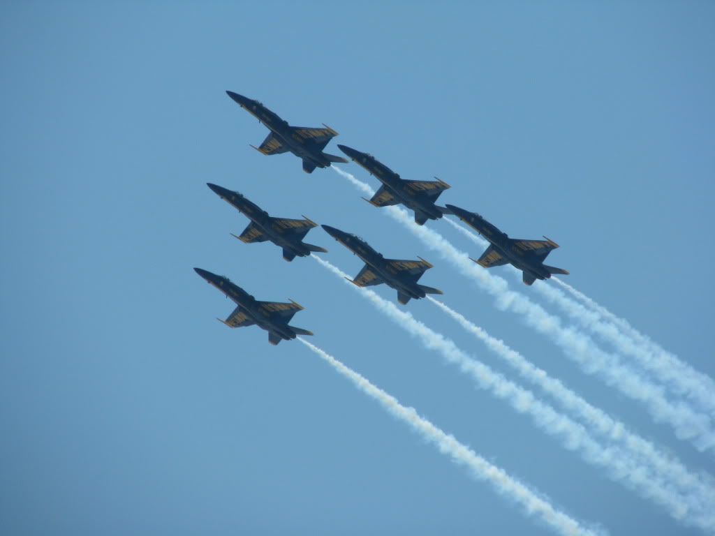 IMG_5442.jpg