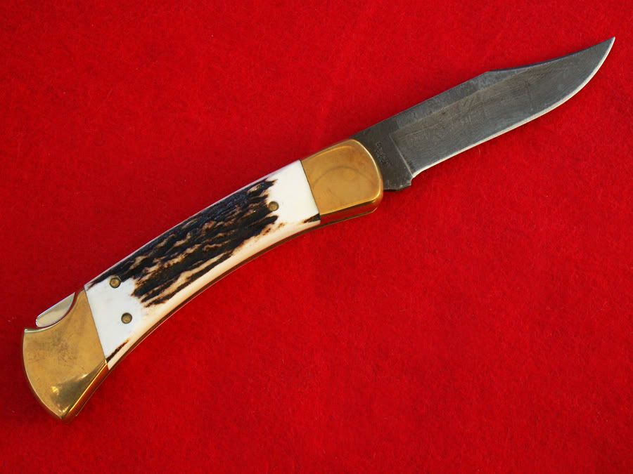 DMCustomStagb.jpg