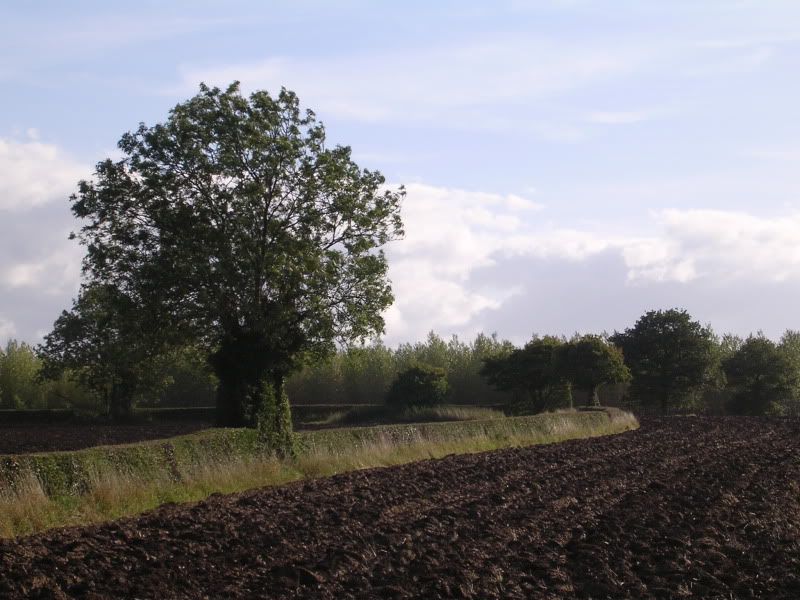 DSCN1568.jpg