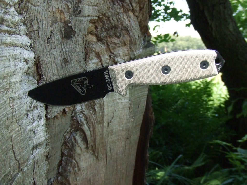 Woods-2.jpg