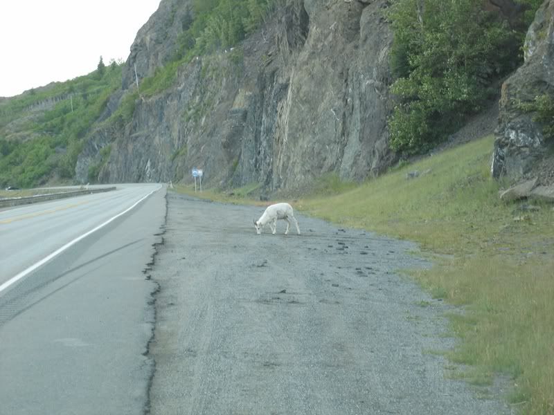 dallhwy2.jpg