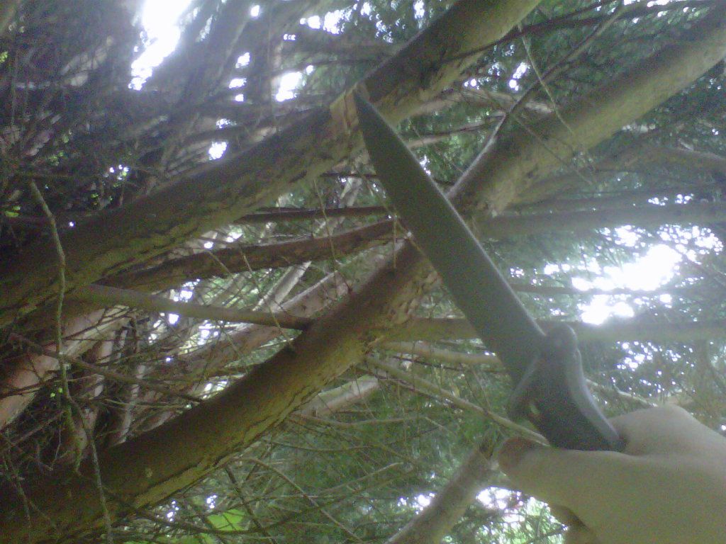 IMG-20120709-00144.jpg