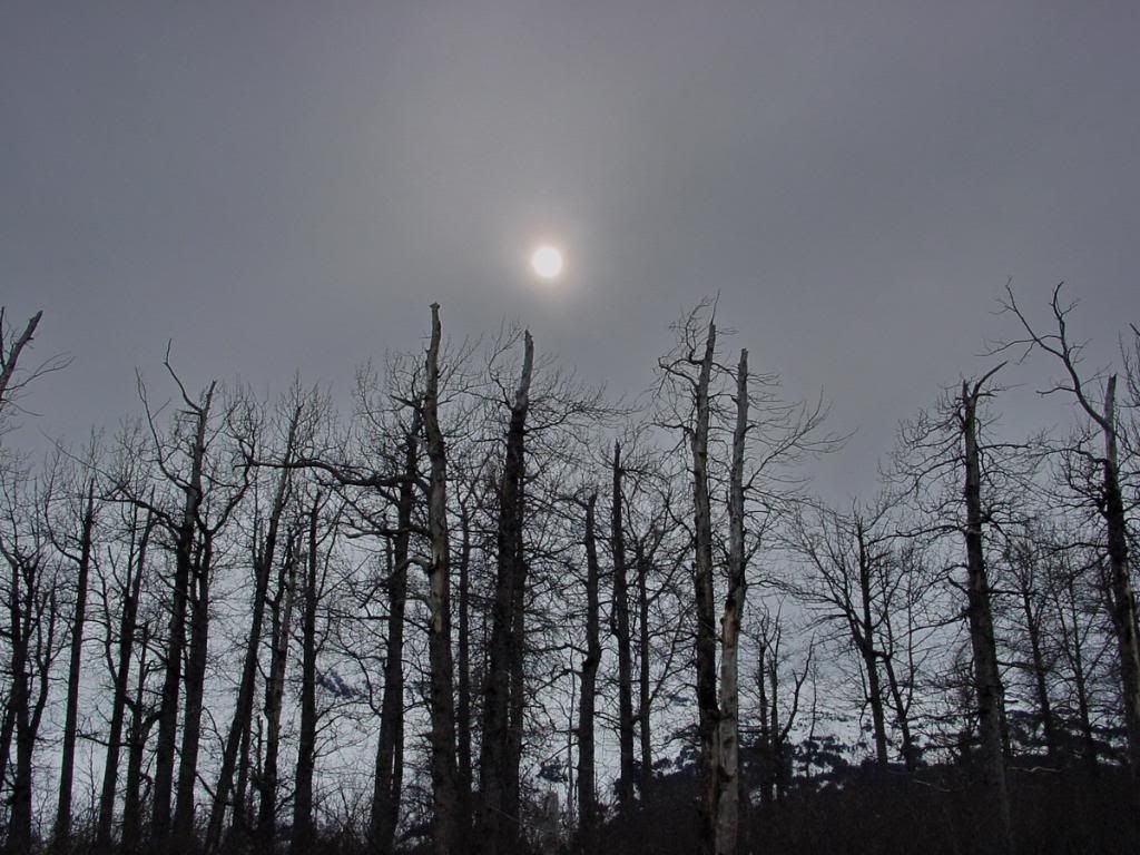 2004-04-2921-32-43_resize.jpg