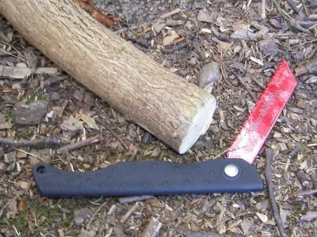 ecohawk016.jpg
