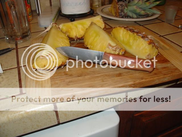 DSC04711.jpg