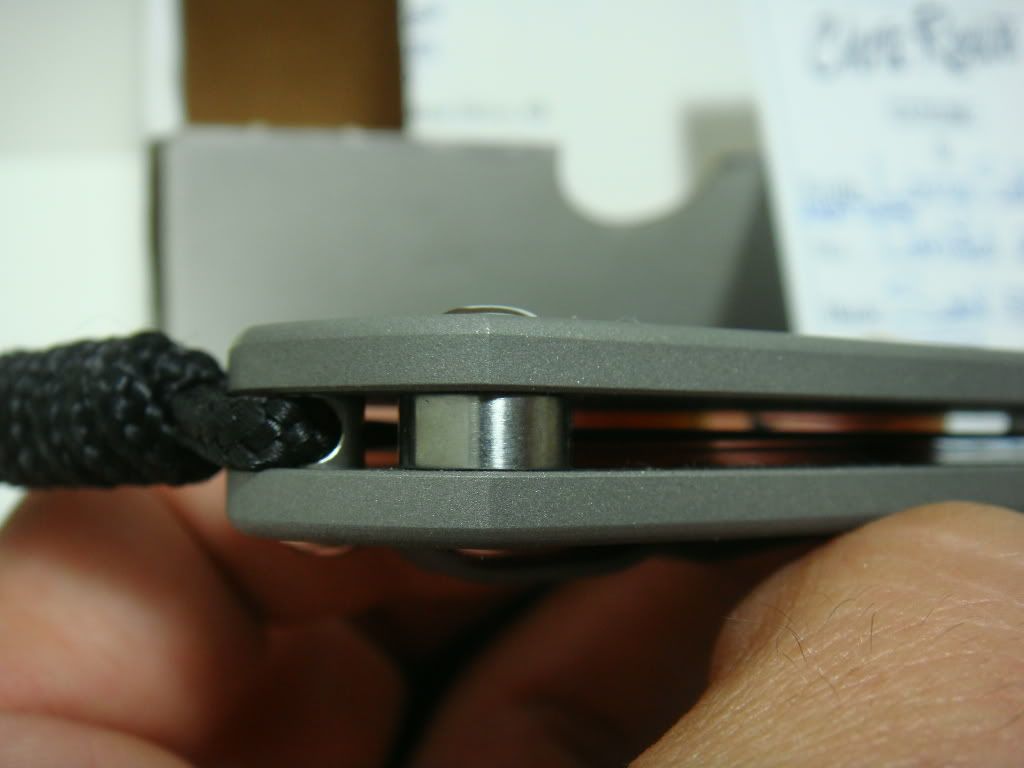 3566008d.jpg