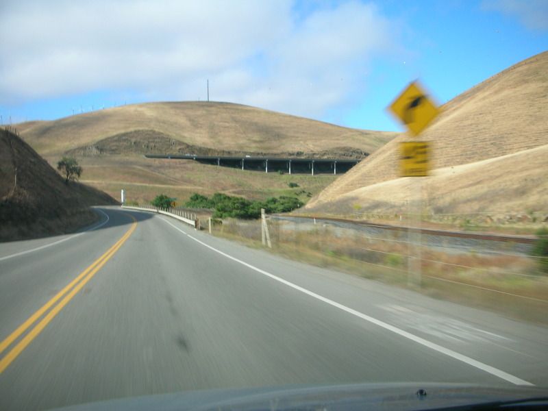 DSCN2239.jpg