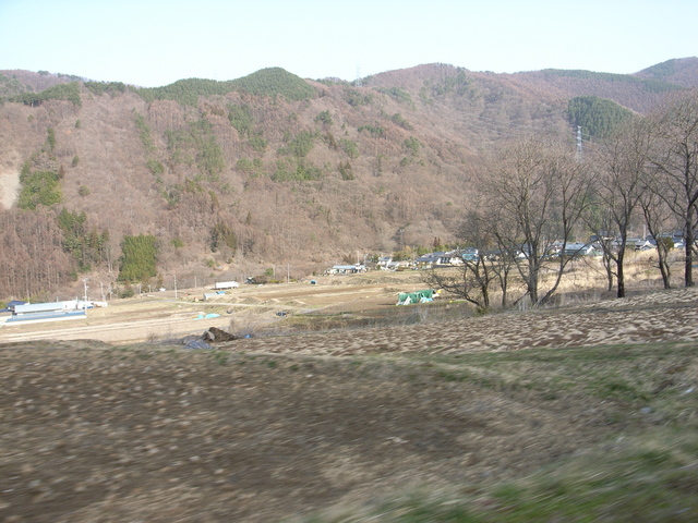 2010.03.20.r0020627.jpg