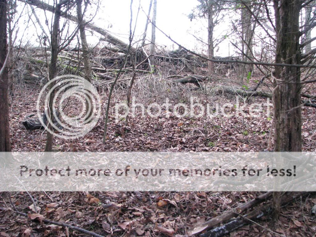 IMG_3357-1_zps1d367b13.jpg