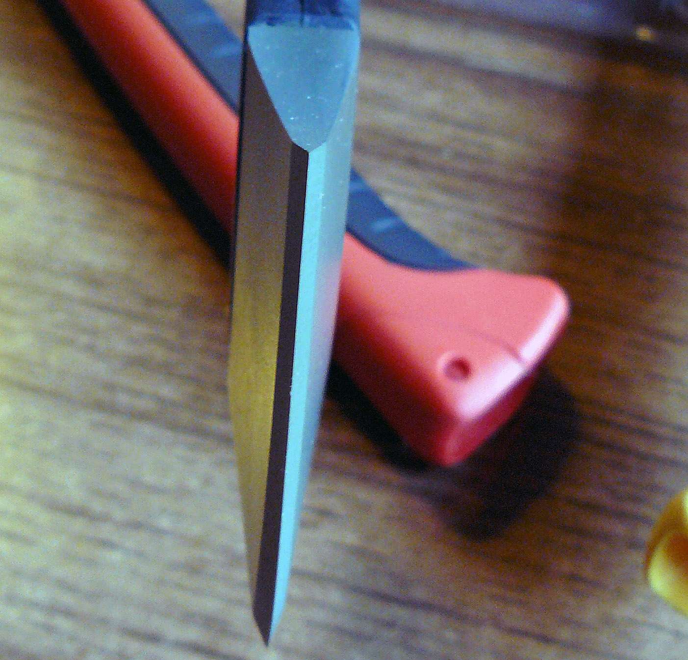 p1540028c.jpg