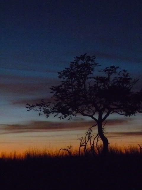 P1010447.jpg