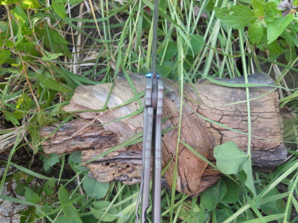 DSCN1299.jpg