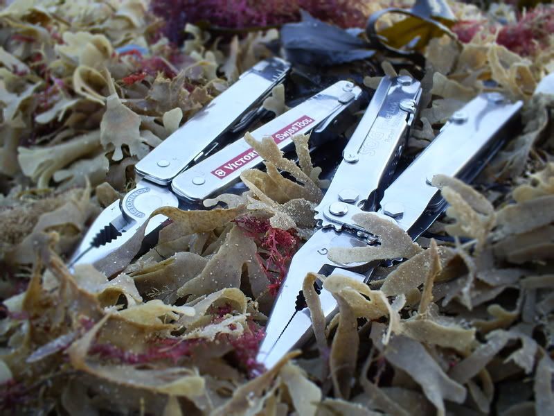 knifepics069.jpg