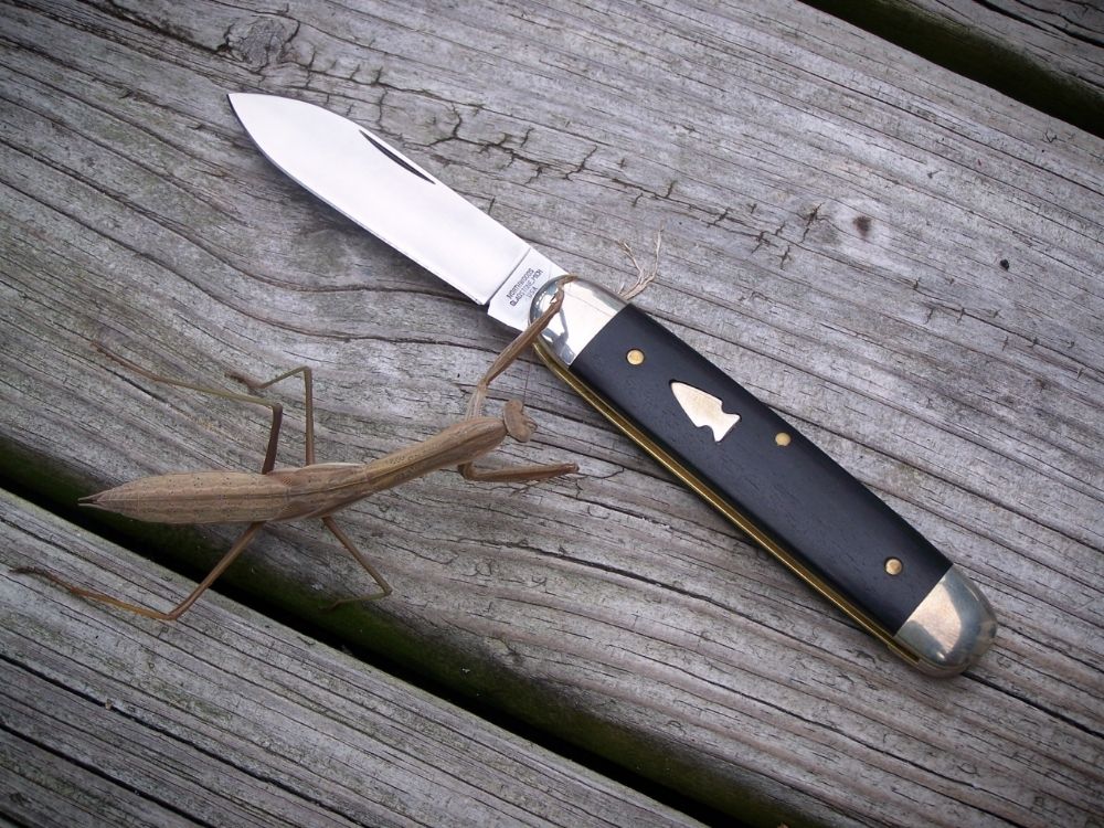 NorthwoodsIRJ_ebony_02.jpg