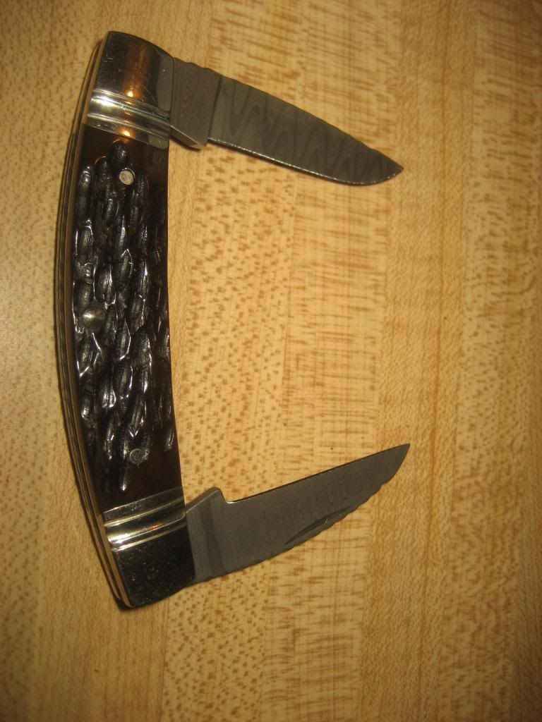 schradekious002.jpg