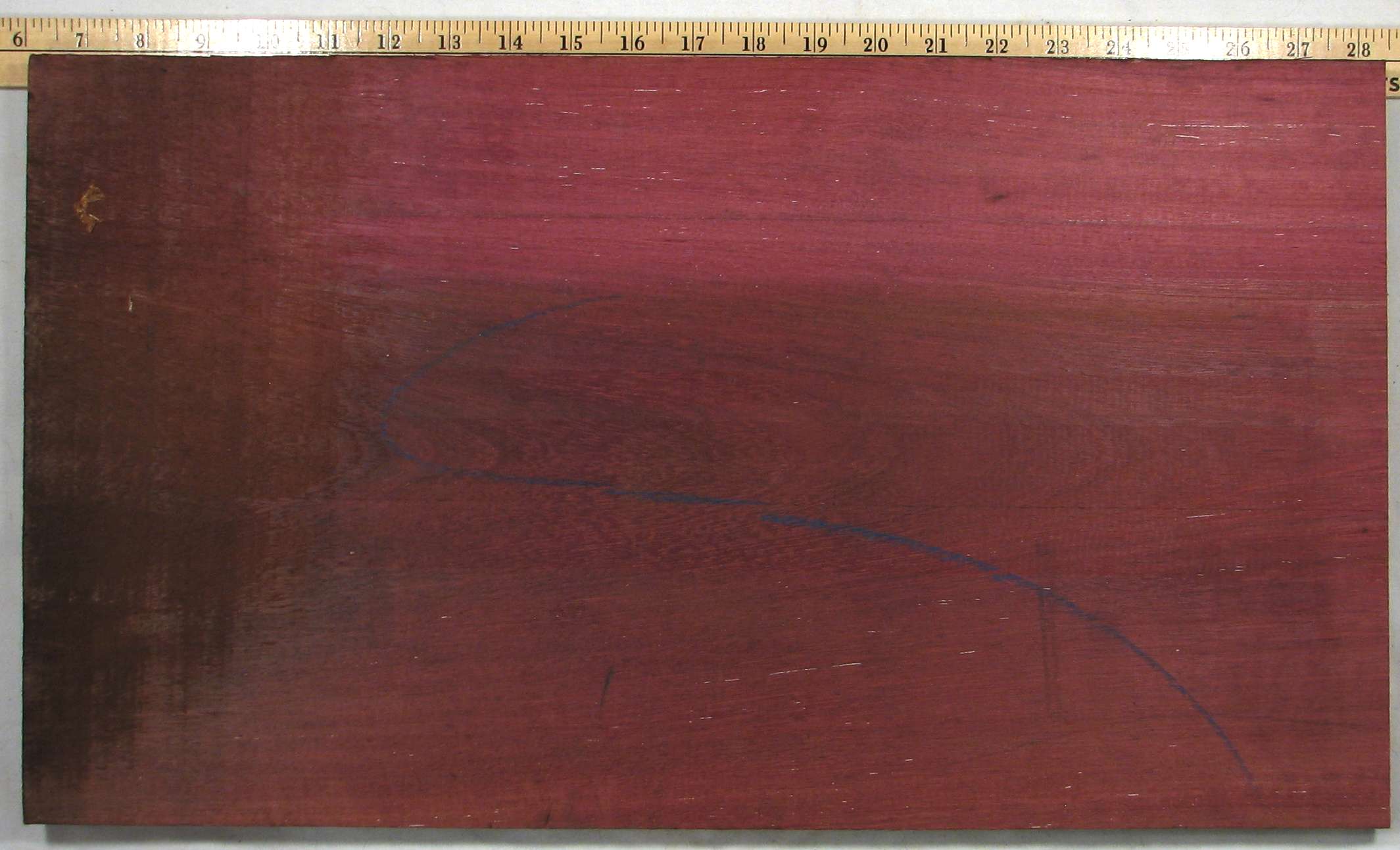 purpleheart%2024%20s100%20plh.jpg