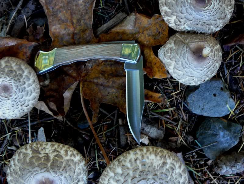 11-04-2010OakBuckcustom009.jpg