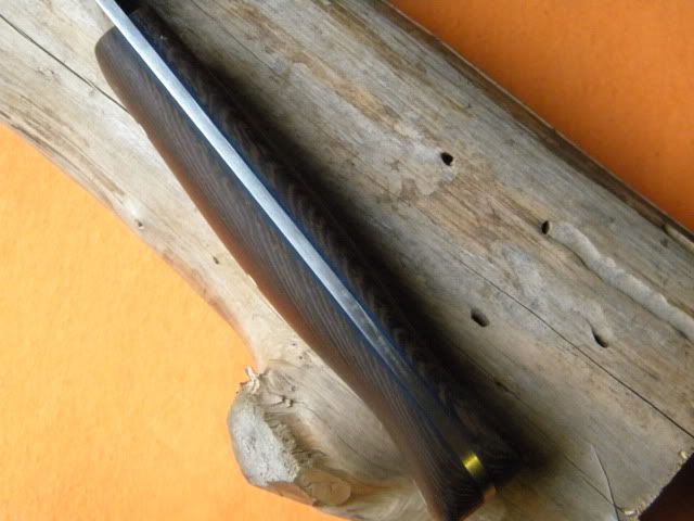 DSCN1896.jpg