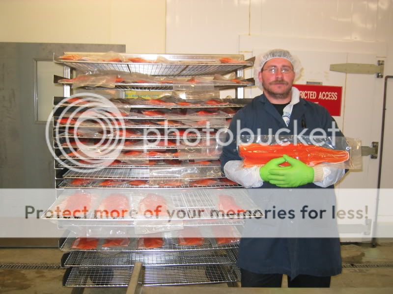 MeWFillets.jpg