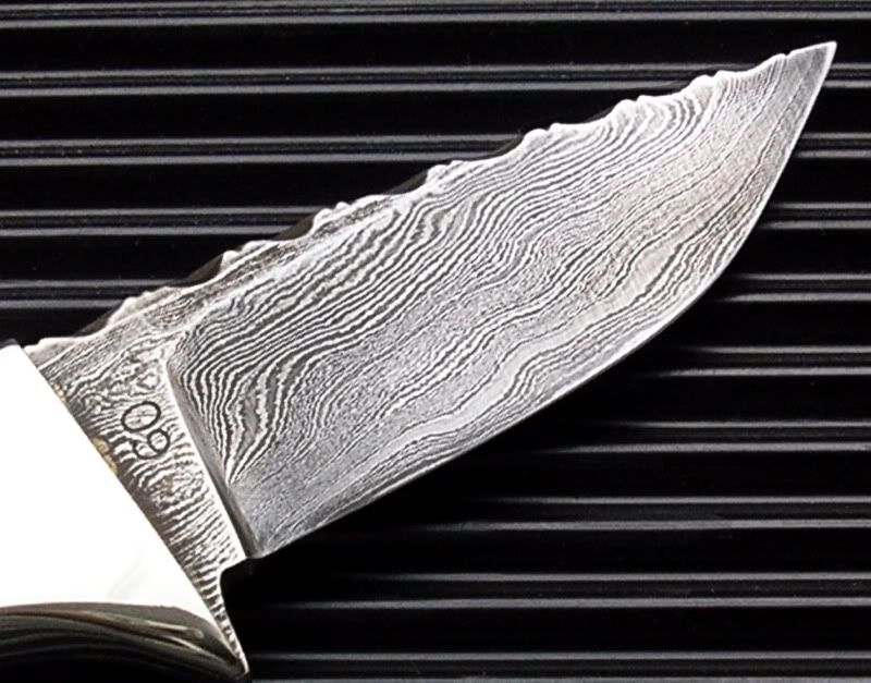 BFCoralHunterRightBlade.jpg
