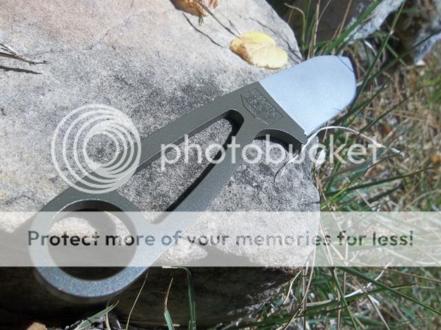 100_2727.jpg