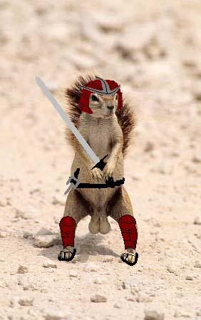 The_Samurai_Squirrel_JPG.jpg