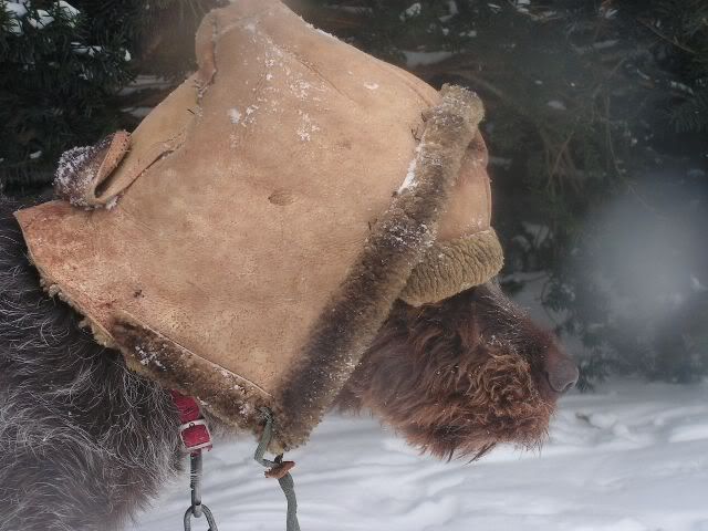 PICT0706.jpg
