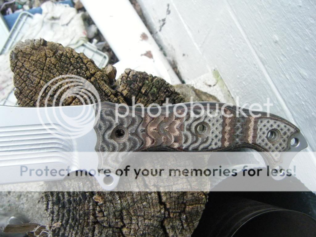 DSCF1205.jpg