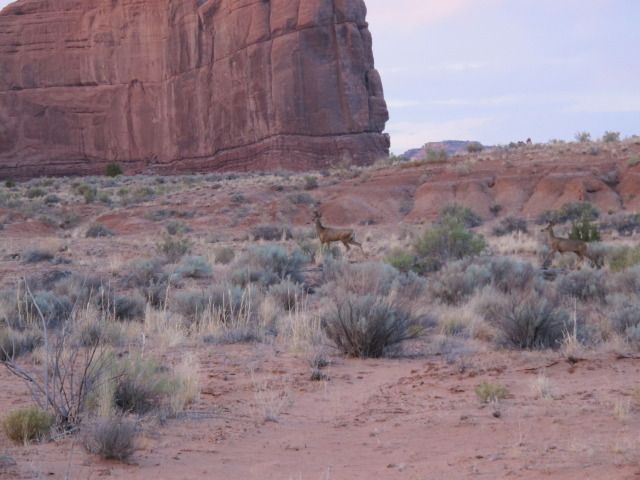 af773694.jpg