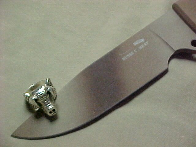 busse6III.jpg