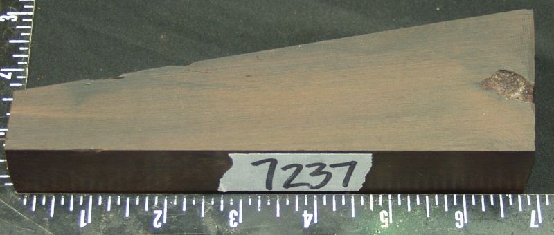 7237a.jpg