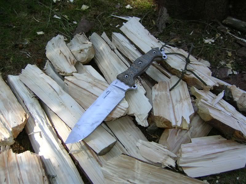HOFSHLEspilttingwood.jpg