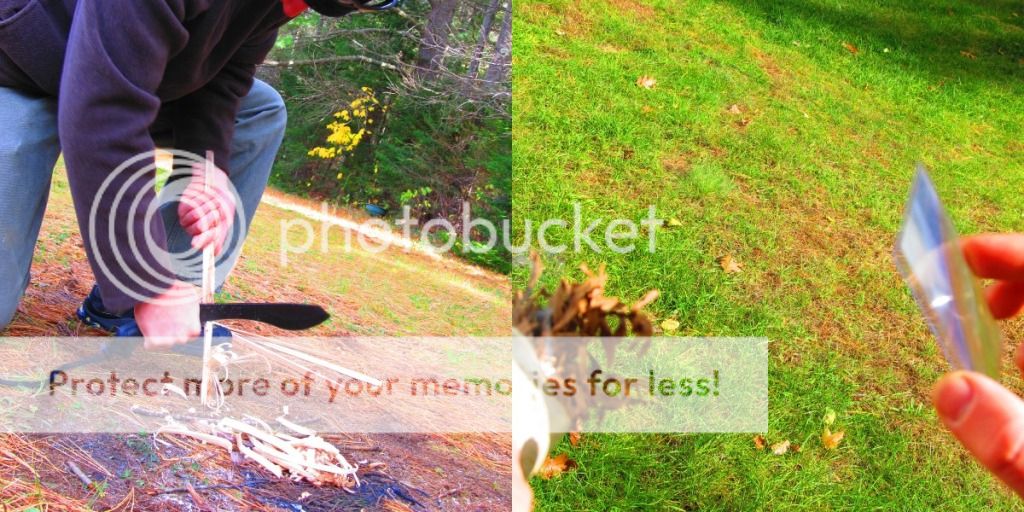fernlense1.jpg