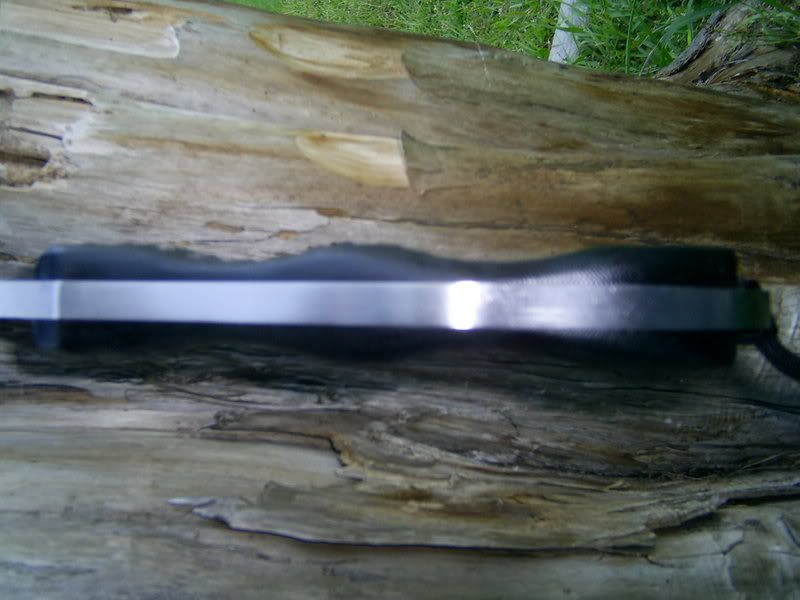 ebaypics370.jpg